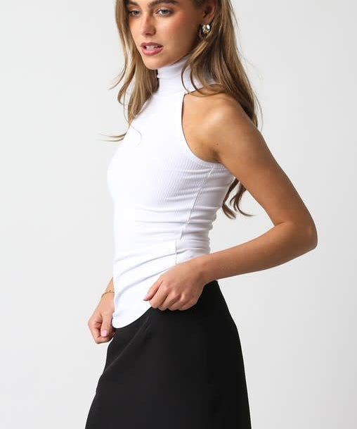 MODEMICA TURTLENECK TANK