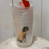 TENNESSEE VOLS FROSTED CUPS