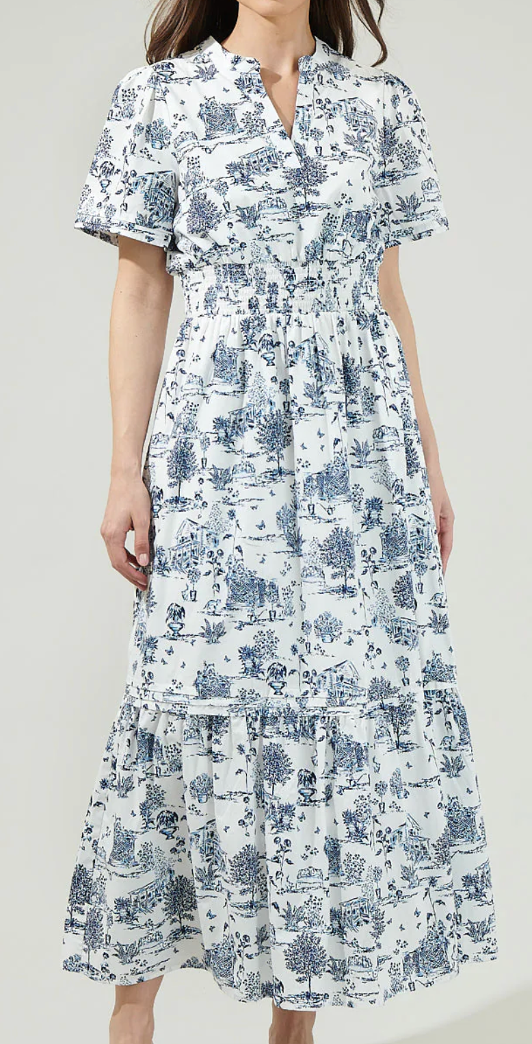 BLUE TOILE POPLIN MAXI DRESS