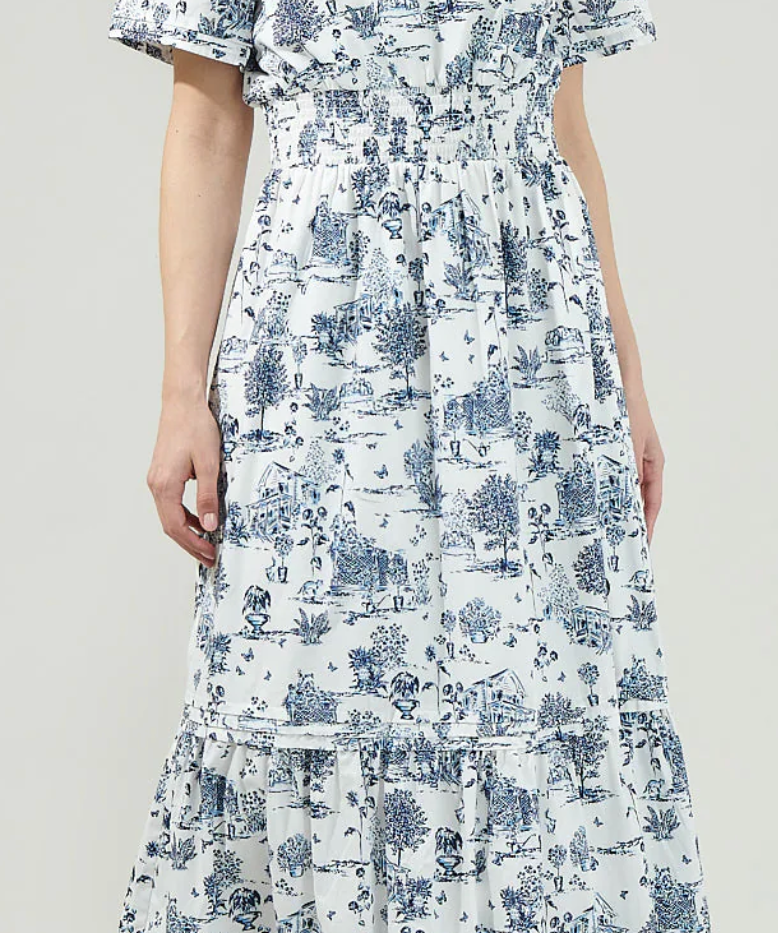 BLUE TOILE POPLIN MAXI DRESS