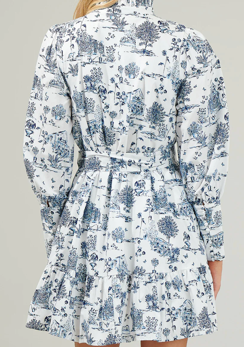 TOILE PINTUCK LSLV MINI DRESS